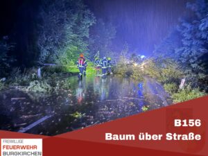 Mehr über den Artikel erfahren B156 – Baum über Straße