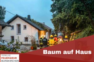 Mehr über den Artikel erfahren Baum auf Haus