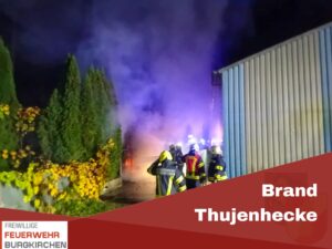 Mehr über den Artikel erfahren Brand Thujenhecke