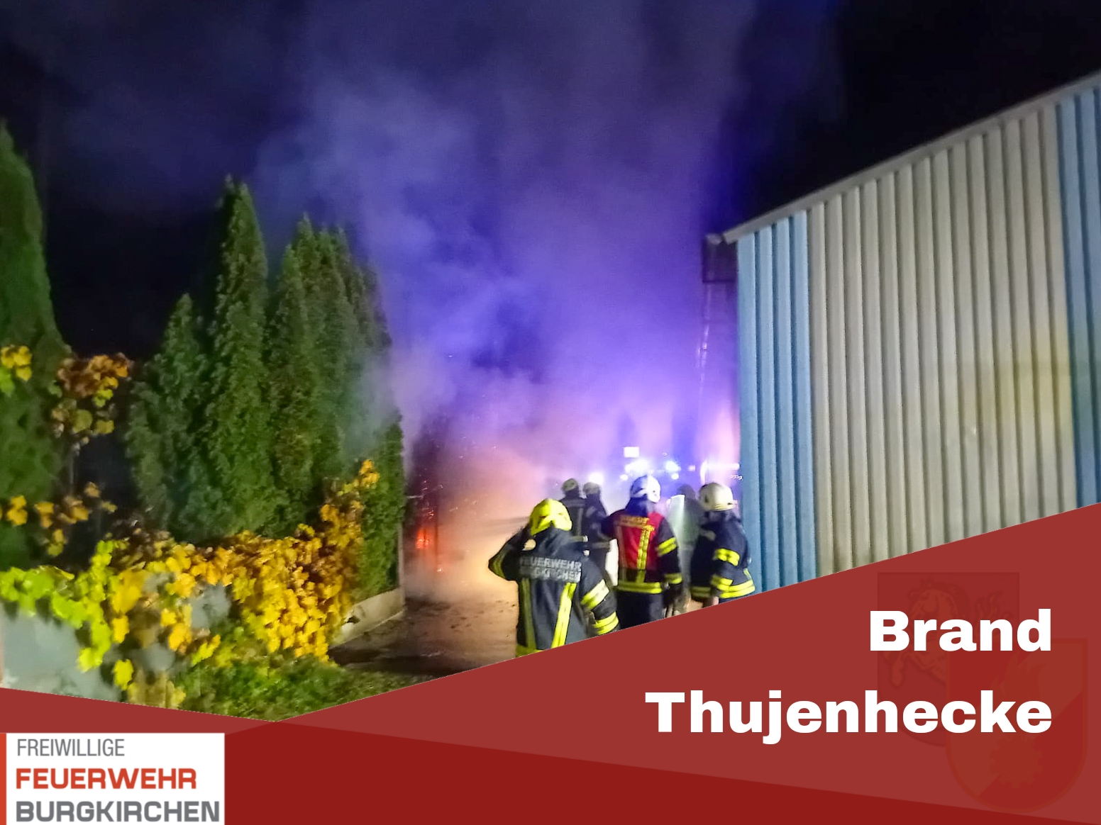 Du betrachtest gerade Brand Thujenhecke